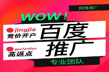 百度推广公司案例分享：效果显著的网络广告策略
